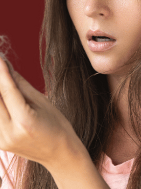 Banner 13