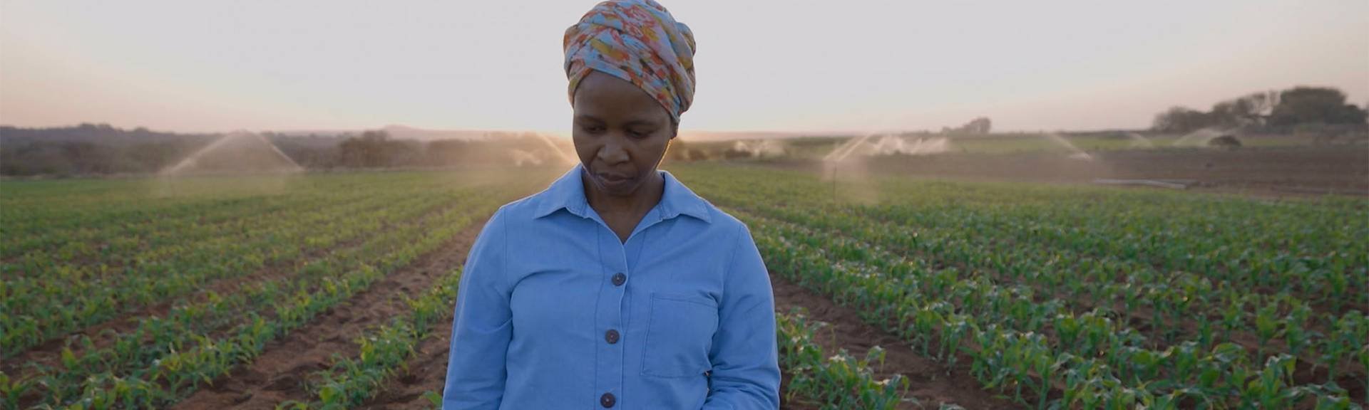 Sustentabilidad Programas Loreal Imagen Madre