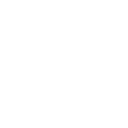 Twitter icon