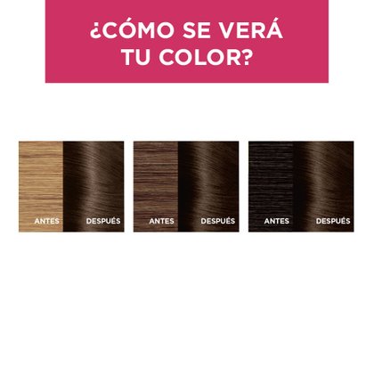 EXCELLENCE TINTE CASTANO 500 RESULTADOS